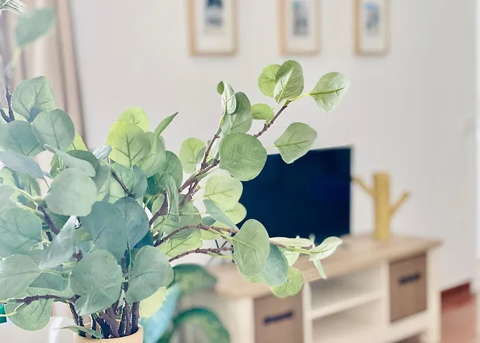 Canaryislandshost L Sea View بويرتو ذيل كارمين